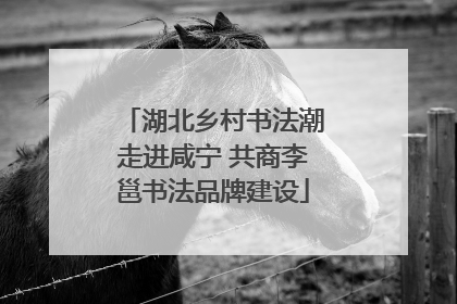 湖北乡村书法潮走进咸宁 共商李邕书法品牌建设