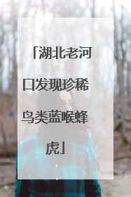 湖北老河口发现珍稀鸟类蓝喉蜂虎