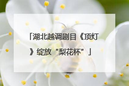 湖北越调剧目《顶灯》绽放“梨花杯”