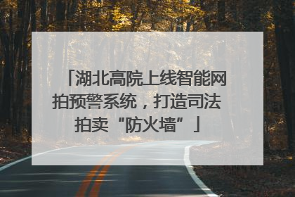 湖北高院上线智能网拍预警系统，打造司法拍卖“防火墙”