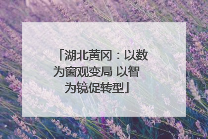湖北黄冈：以数为窗观变局 以智为镜促转型