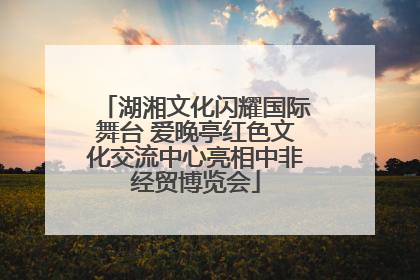 湖湘文化闪耀国际舞台 爱晚亭红色文化交流中心亮相中非经贸博览会