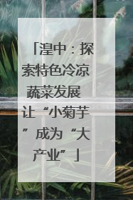 湟中：探索特色冷凉蔬菜发展 让“小菊芋”成为“大产业”