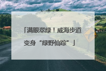 满眼翠绿！威海步道变身“绿野仙踪”