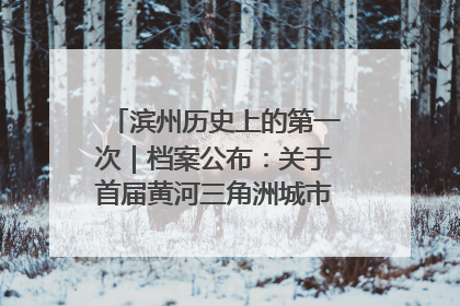 滨州历史上的第一次｜档案公布：关于首届黄河三角洲城市经济博览会暨发展论坛情况的总结报告