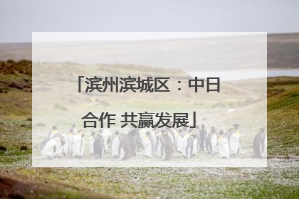 滨州滨城区：中日合作 共赢发展