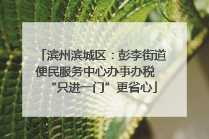 滨州滨城区：彭李街道便民服务中心办事办税 “只进一门”更省心