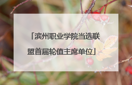 滨州职业学院当选联盟首届轮值主席单位