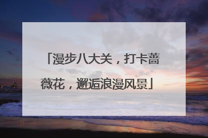 漫步八大关，打卡蔷薇花，邂逅浪漫风景