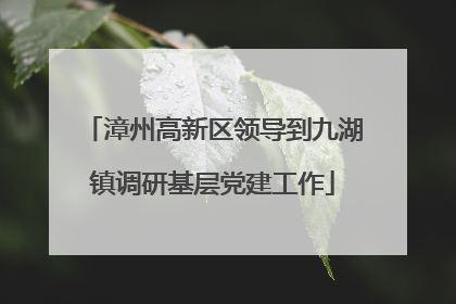 漳州高新区领导到九湖镇调研基层党建工作