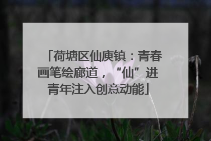 荷塘区仙庾镇：青春画笔绘廊道，“仙”进青年注入创意动能