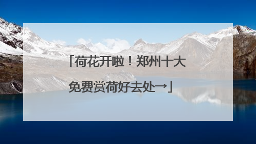 荷花开啦！郑州十大免费赏荷好去处→