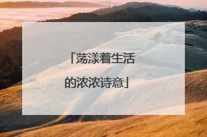 荡漾着生活的浓浓诗意