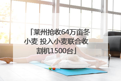 莱州抢收64万亩冬小麦 投入小麦联合收割机1500台