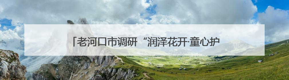 老河口市调研“润泽花开·童心护航”项目 推进儿童友好社区建设