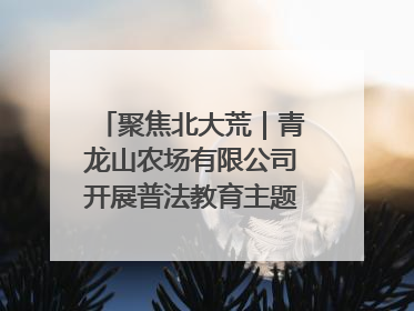 聚焦北大荒｜青龙山农场有限公司开展普法教育主题党日活动