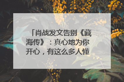肖战发文告别《藏海传》：真心地为你开心，有这么多人懂你，导演回应“是否有第二季”