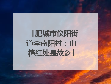 肥城市仪阳街道李南阳村：山楂红处是故乡