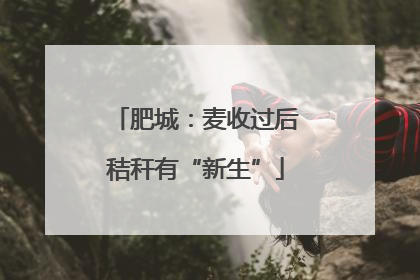 肥城：麦收过后秸秆有“新生”