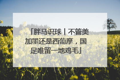 胖马识球丨不管美加墨还是西葡摩，国足唯留一地鸡毛