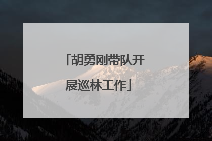 胡勇刚带队开展巡林工作