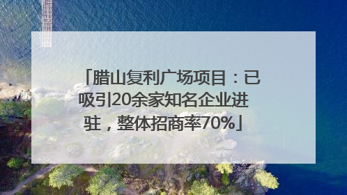 腊山复利广场项目：已吸引20余家知名企业进驻，整体招商率70%