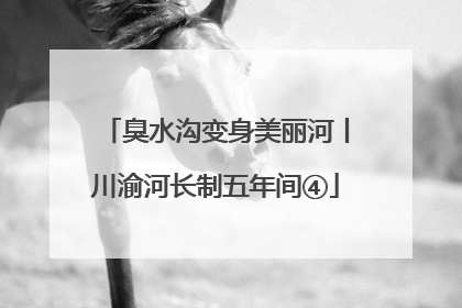 臭水沟变身美丽河丨川渝河长制五年间④