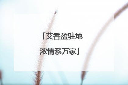 艾香盈驻地 浓情系万家