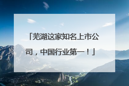 芜湖这家知名上市公司，中国行业第一！