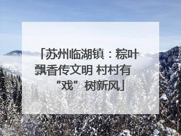 苏州临湖镇：粽叶飘香传文明 村村有“戏”树新风