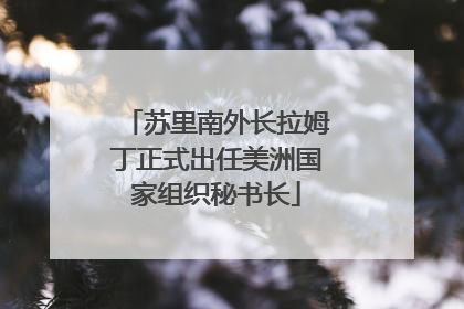 苏里南外长拉姆丁正式出任美洲国家组织秘书长