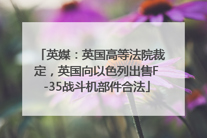英媒：英国高等法院裁定，英国向以色列出售F-35战斗机部件合法