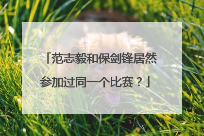 范志毅和保剑锋居然参加过同一个比赛？