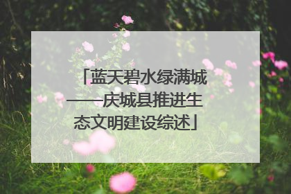 蓝天碧水绿满城——庆城县推进生态文明建设综述