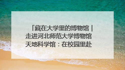 藏在大学里的博物馆｜走进河北师范大学博物馆天地科学馆：在校园里赴一场“宇宙之约”