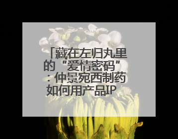 藏在左归丸里的“爱情密码”：仲景宛西制药如何用产品IP讲好品牌故事