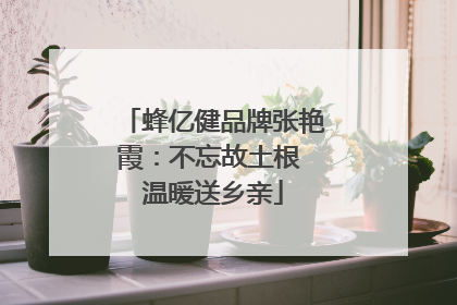 蜂亿健品牌张艳霞：不忘故土根 温暖送乡亲