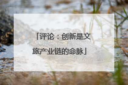 评论：创新是文旅产业链的命脉