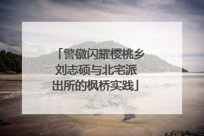 警徽闪耀樱桃乡 刘志硕与北宅派出所的枫桥实践