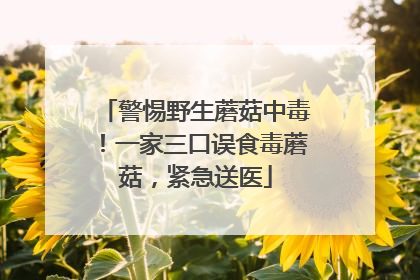 警惕野生蘑菇中毒！一家三口误食毒蘑菇，紧急送医