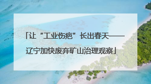 让“工业伤疤”长出春天——辽宁加快废弃矿山治理观察