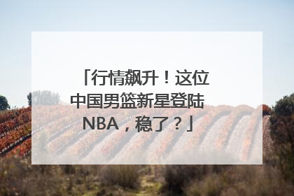 行情飙升！这位中国男篮新星登陆NBA，稳了？