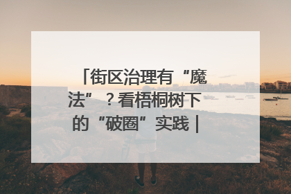街区治理有“魔法”？看梧桐树下的“破圈”实践｜我在街区当书记