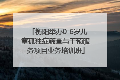 衡阳举办0-6岁儿童孤独症筛查与干预服务项目业务培训班