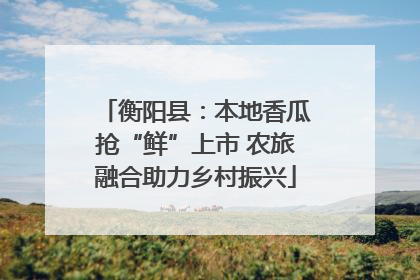 衡阳县：本地香瓜抢“鲜”上市 农旅融合助力乡村振兴