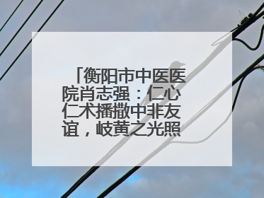 衡阳市中医医院肖志强：仁心仁术播撒中非友谊，岐黄之光照亮津巴大地