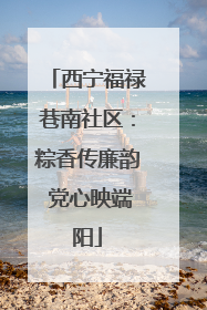 西宁福禄巷南社区：粽香传廉韵 党心映端阳