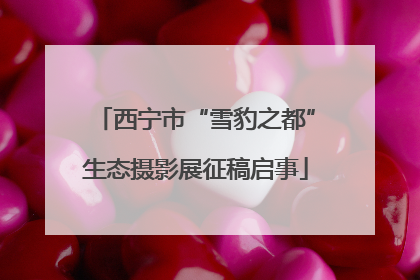 西宁市“雪豹之都”生态摄影展征稿启事