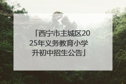 西宁市主城区2025年义务教育小学升初中招生公告