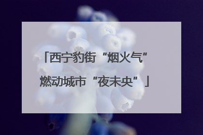 西宁豹街“烟火气” 燃动城市“夜未央”